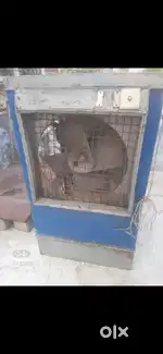 Cooler 4ft