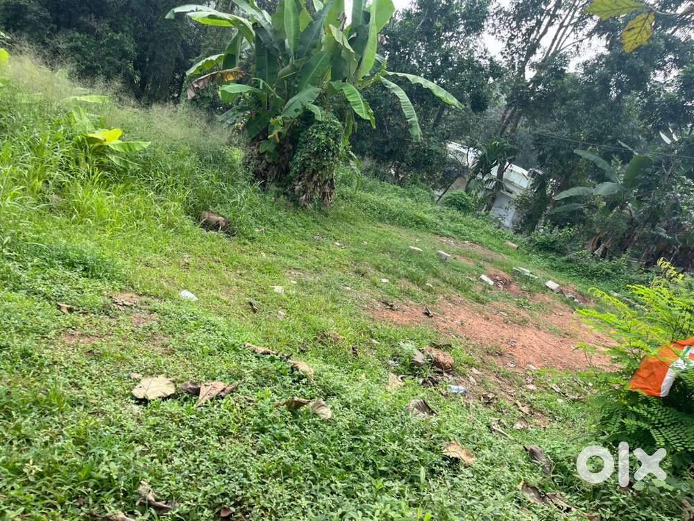 7 cents land for sale near the temple in Karicode, Mulanthuruthy