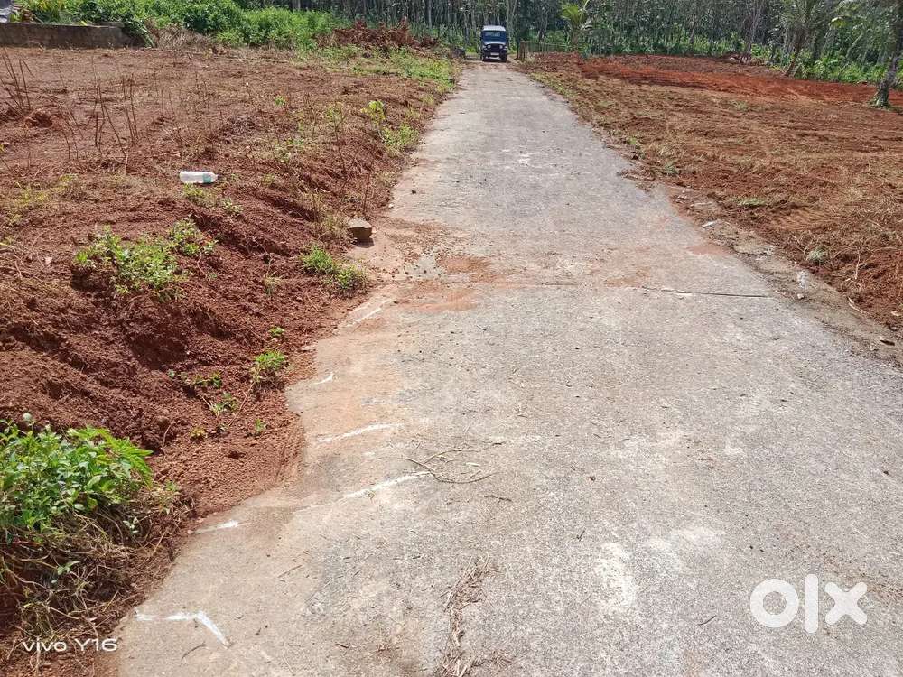 PLOT FOR SALE IN MAMMODU