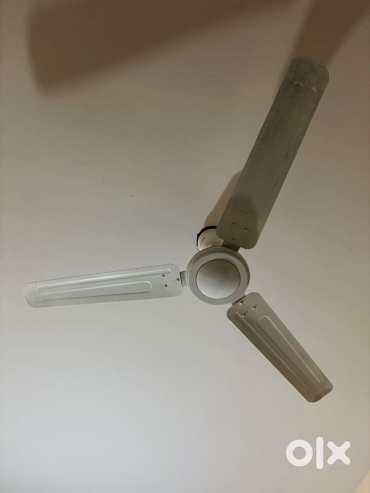 CEILING FAN ecolink