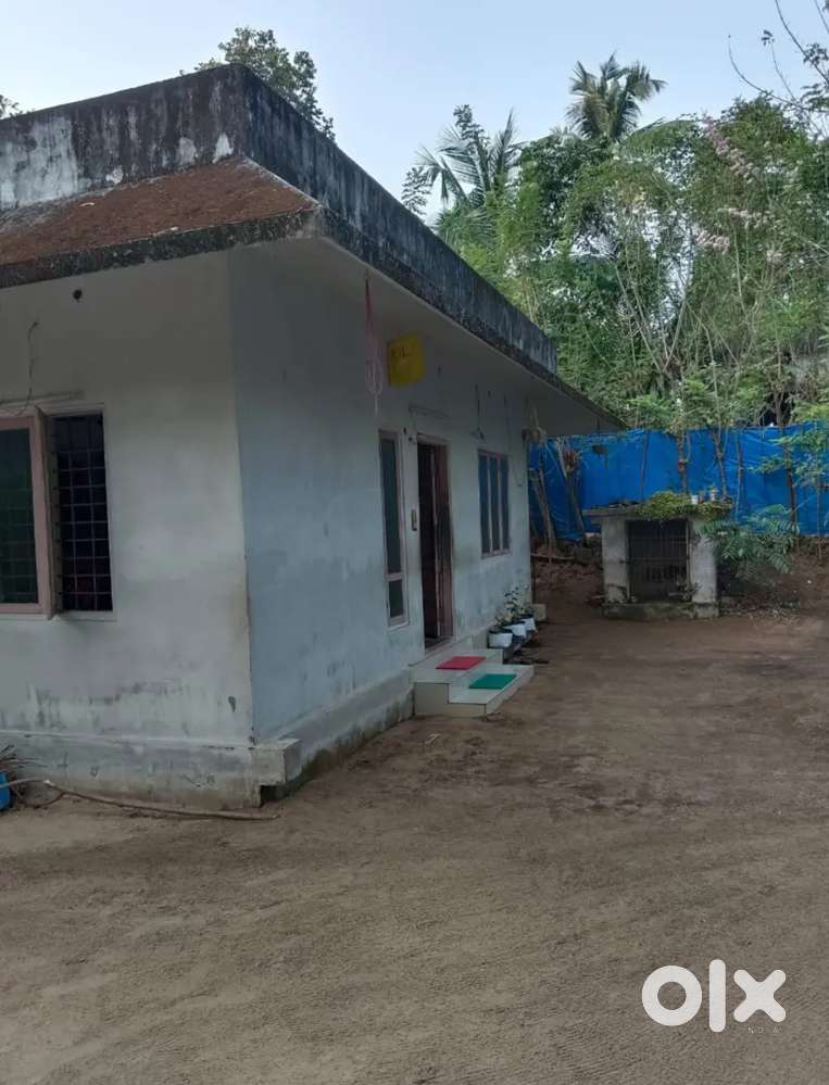 20 cent property and house selling Alappuzha Arthunkal