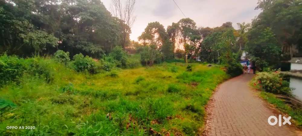 LAND FOR SALE 14 ,8,7,5, CENTS KAKKANAD SEA POR T 1 KMS.