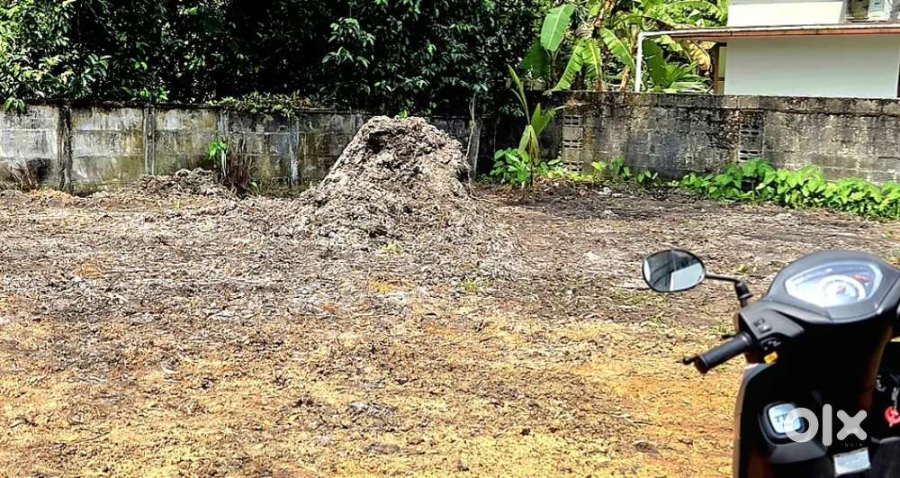 7 cent plot ചേർത്തല മനോരമ ജംഗ്ഷൻ 500 മീറ്റർ മാറി