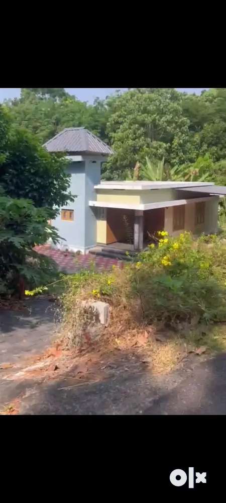 18 cent plot and house for sale at kottappady