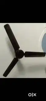 Ceiling fans (2)