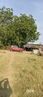 Agriculture land on 43.11 acres