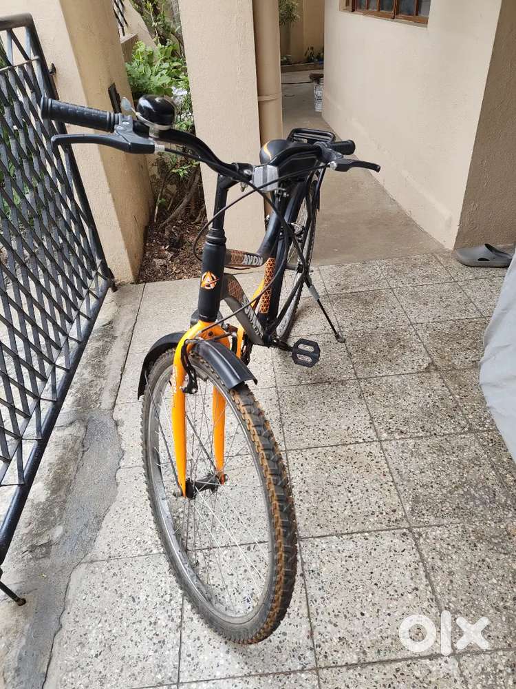 Avon bicycle