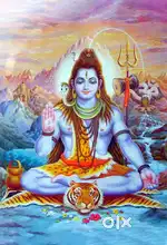 মধ্য বড়জলা তিন নম্বর ওয়ার্ড অফিসের সঙ্গে ঘর ভাড়া দেওয়া হবে