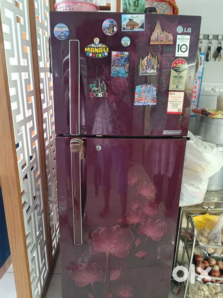 LG DOUBLE DOOR REFRIGERATOR