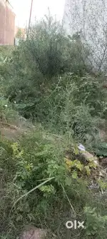 150 gaj plot ganpati enclave sardhana road meerut