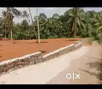 Pampady 10 cent house plot.2 .lakh. cent.