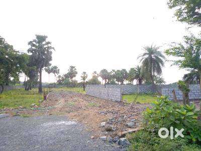 For any type of land in alwar bhiwadi tapukara neemrana