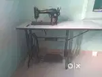 Thail miciene