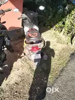 Honda Dio cash 30000