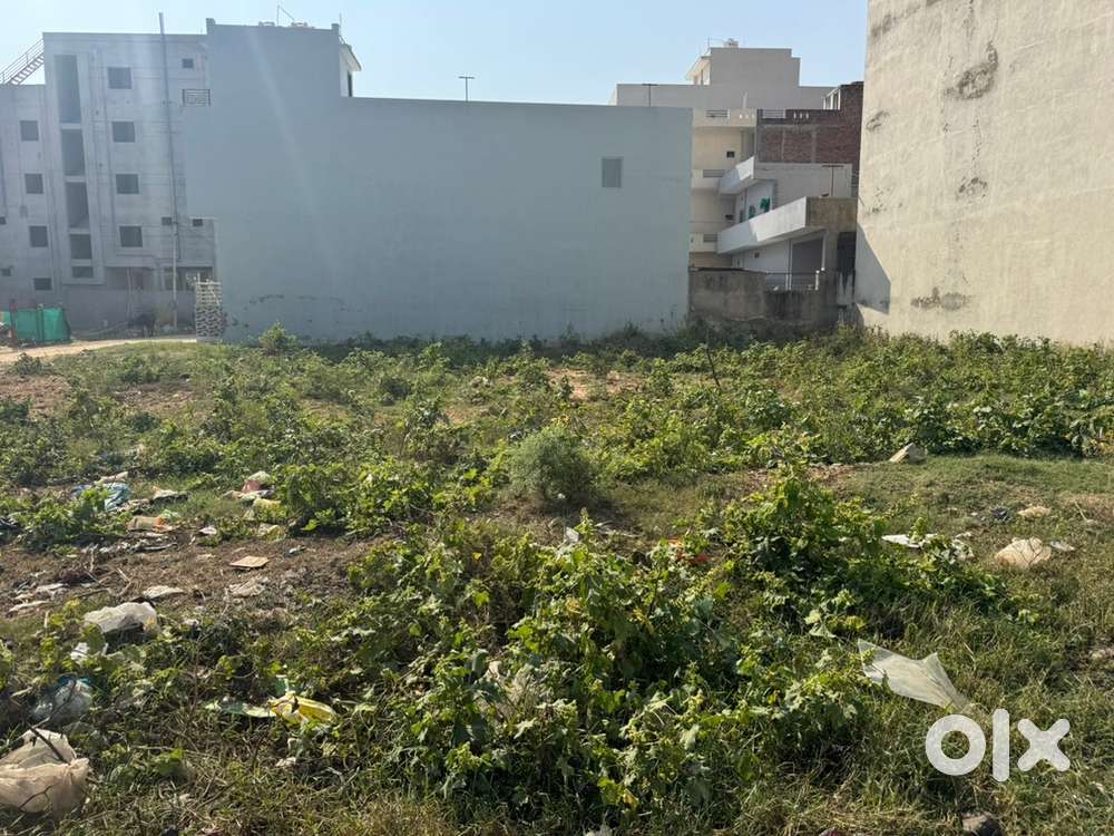 Patta shuda plot near piprali circle