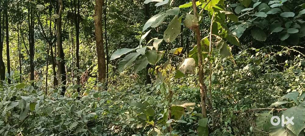 Argent sell.My flate.saman 5.ganda.ar.4.5.ganda slove