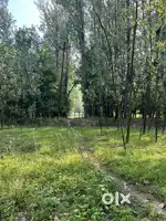 30 Marla Registered Land