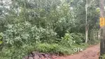 10 cent place Near medical collage in 200 km only