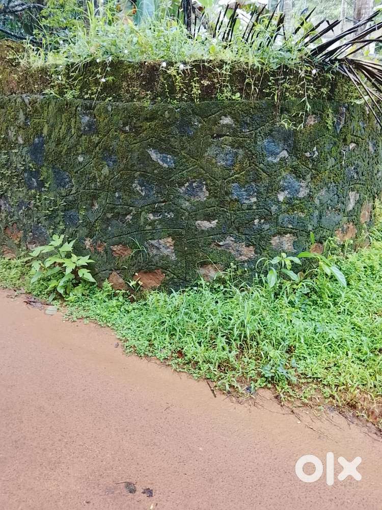 9.5 CENT LAND FOR THIRUVANUUR CALICUT