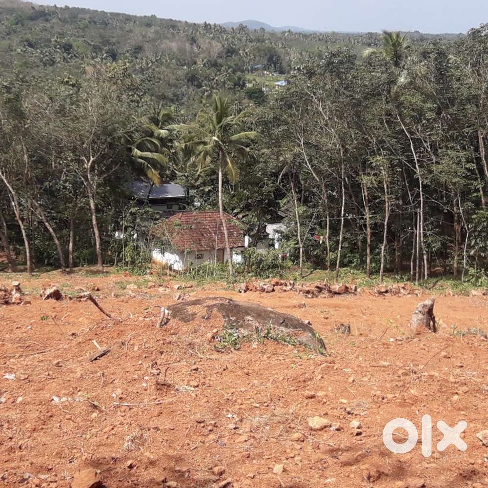 1.2 acrs of land for sale madavoor