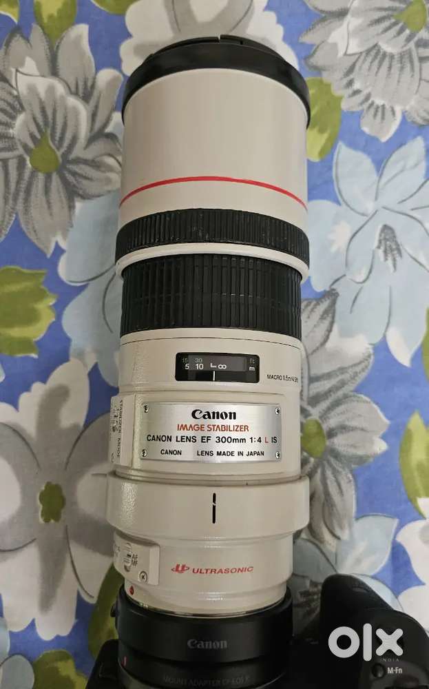Canon lens EF  300mm f4