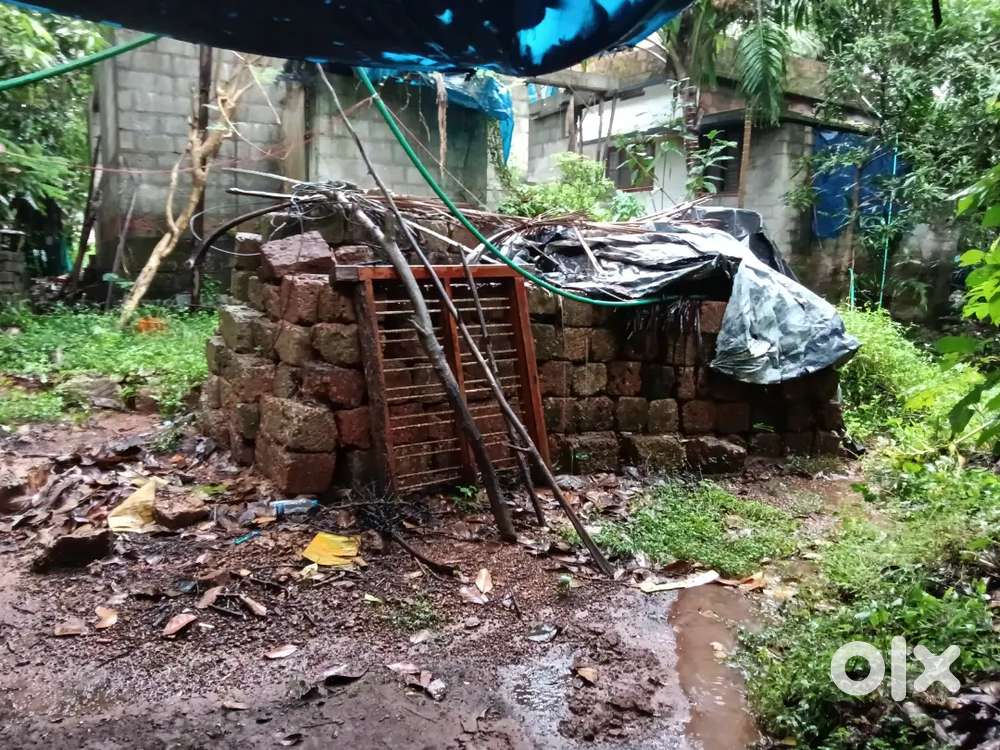 5 cent plot for sale in paroppady 4.2lhk/cent