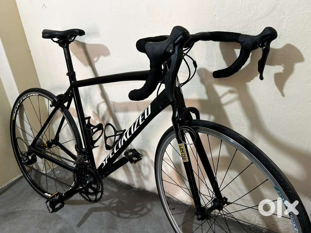 Polygon road bike carbon