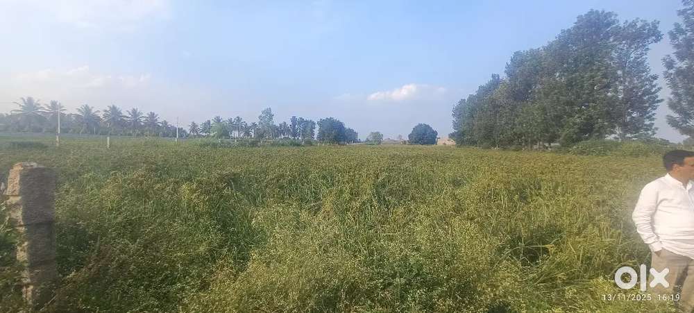 Farm land 2 acre 6 guntas in prime location