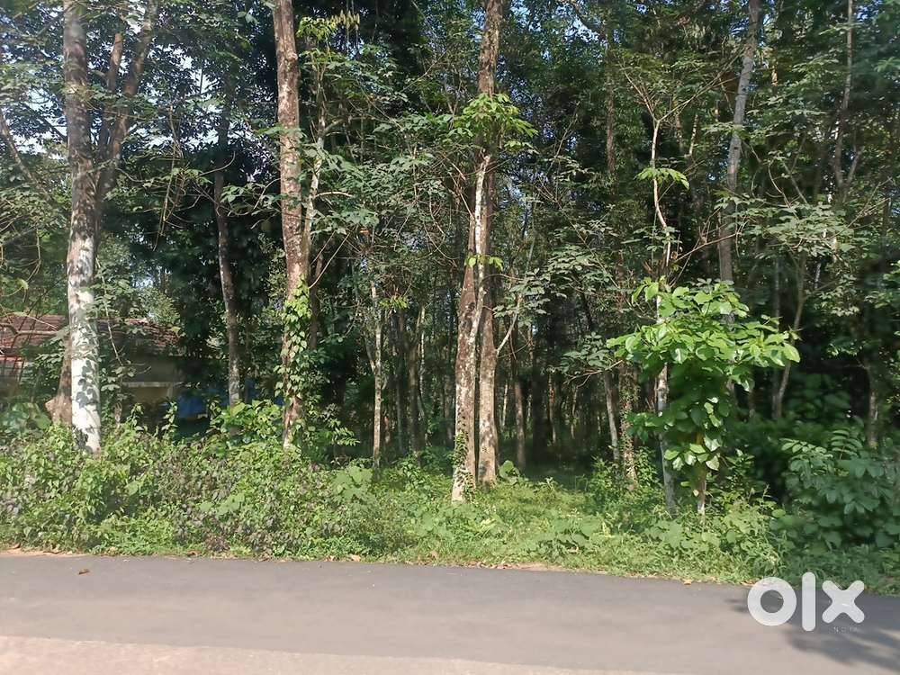35 cent plot for sale in elakollur konni