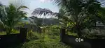 Good 25 cent land with all facility in Chelad karingazha.all facility