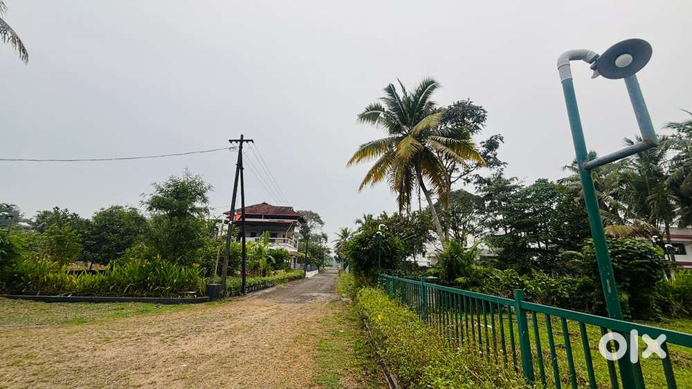 Residential Villa Plot Near Aluva,Kadungalloor 5-20 Cent