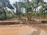 21 cent വസ്തു വില്പനയ്ക്ക് അഞ്ചൽ bypass അടുത്ത്