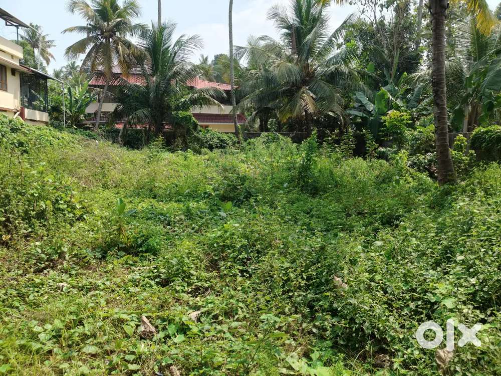 കൊല്ലം കടവൂർ മാതാ ഹോസ്പിറ്റൽ സമീപം 17 സെന്റ് നാല് സൈഡും മതിൽക്കെട്ട്