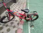 Neelam cycle