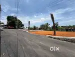5.300 Cent Plot For Sale Kakkanad, Kollam kudimugal