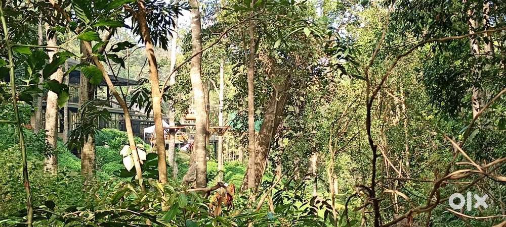 Land for Homestay resort plot for sale Coorg