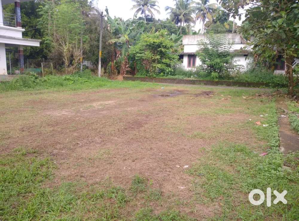 6 cent original land Aluva thottumugham thuruth near Cochin airport