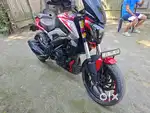 DOMINER BIKE250