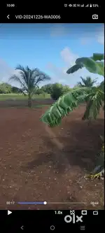 Farm land for sale