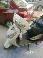 3 month old scooty