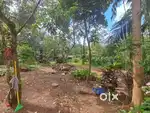 Square Plot Near NH 66  200m Away  5m Wide Road Access