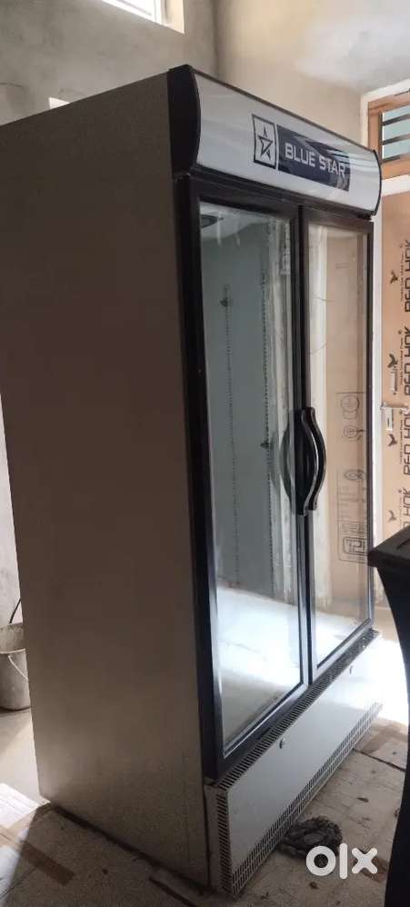 Blue Star double door New condition fridge