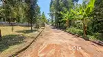 Puliyanam junction near 10cent house plott