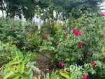 अपना फार्महाउस, अपनी पहचान