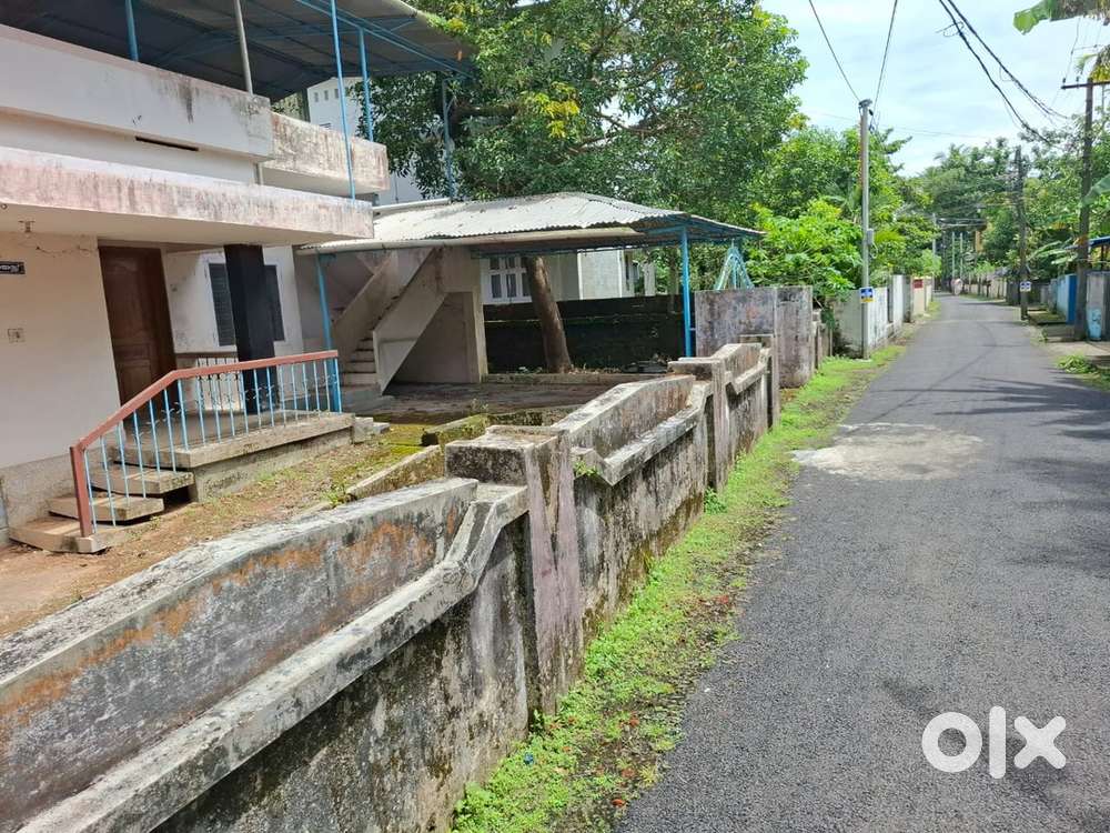 6.5 cent land for sale near Aluva Thottakkatukara NH 500 mtr
