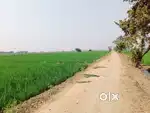 Agriculture land for sale