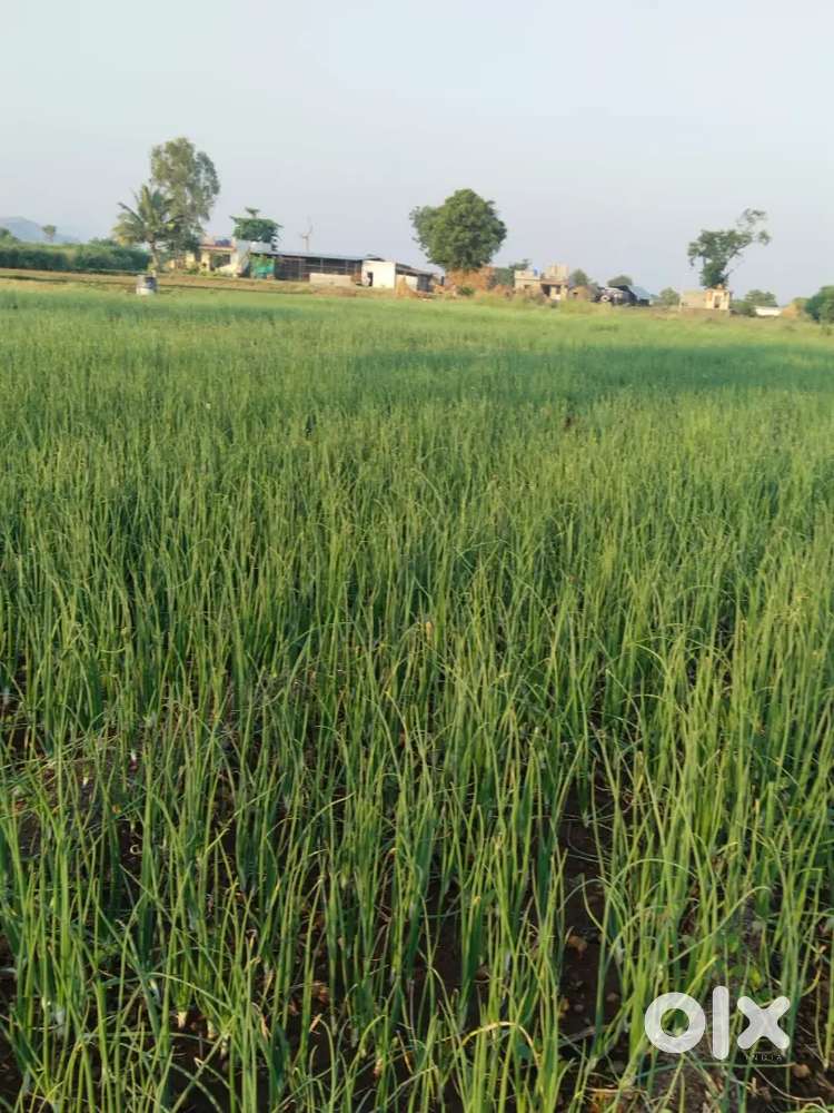 Devolai camp 1km ...agriculture land