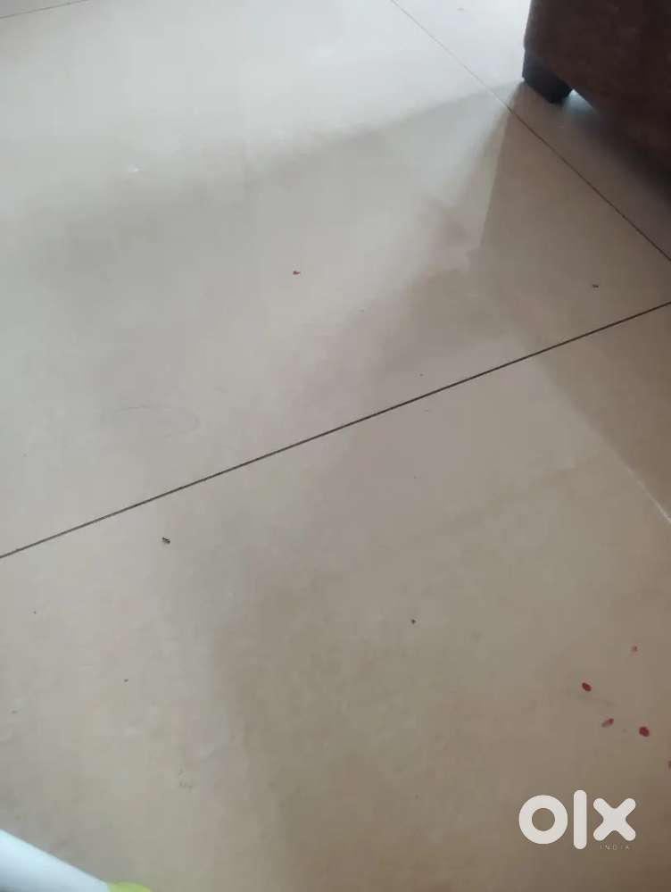 24 hrs Caretaker female only