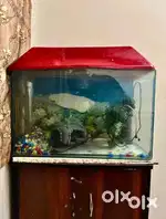Best Fish Aquarium including accessories at reasonable price