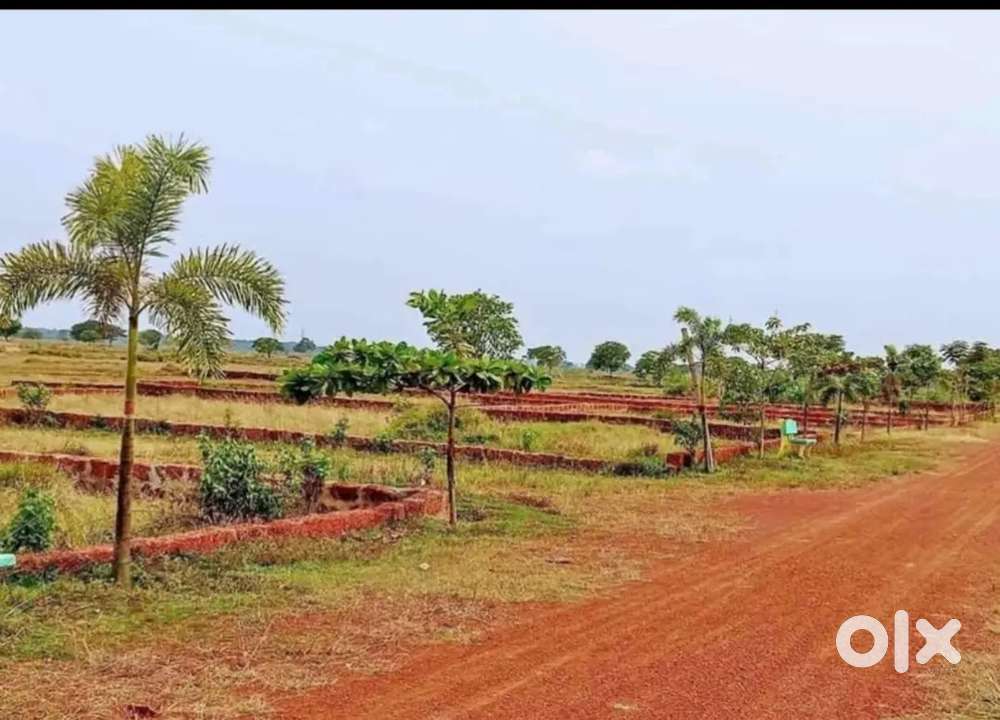 Yellow Zone Plots for Sale Near DN Regalia Bhubaneswar